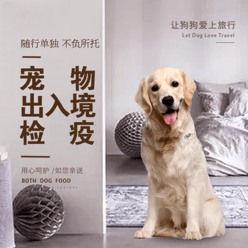 恩施州宠物托运到哥伦比亚猫狗宠物入境规定和
