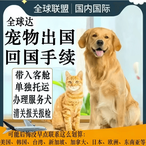恩施州宠物托运到柬埔寨宠物入境规定和要求