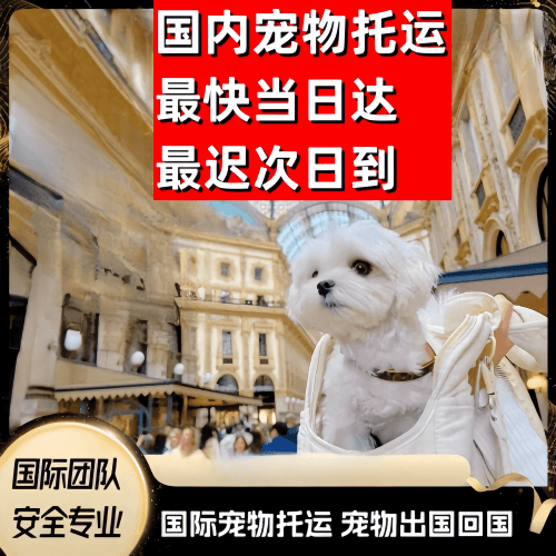 恩施州到澳大利亚（澳洲）宠物入境规定和要求